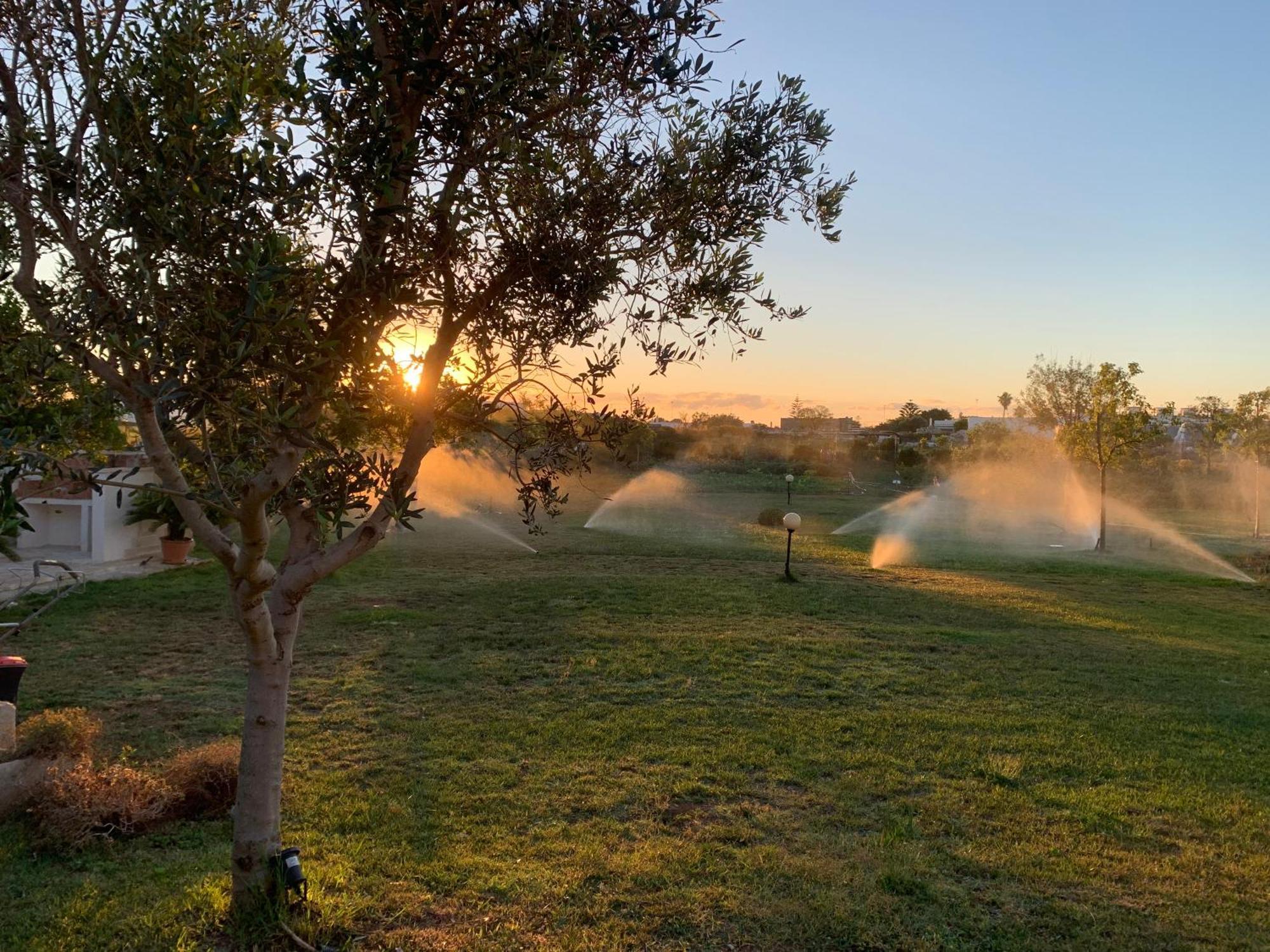 Masseria Capece Bed & Breakfast Uggiano La Chiesa Exterior photo